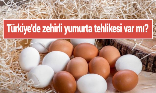 Türkiye'de Zehirli Yumurta Tehlikesi Var mı?
