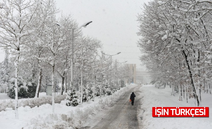 Sakarya Üniversitesi'nden kartpostallık görüntüler