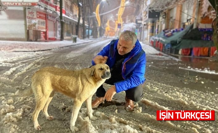 Hendek Belediye Başkanı Babaoğlu'ndan Yoğun Kar Mesaisi