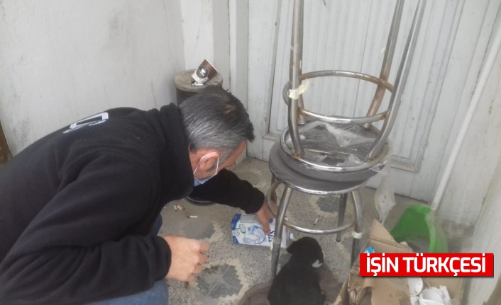 Sakarya'da polis, üşüyen köpek yavrusunu ekip otosunda ısıttı