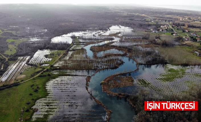 Dünyada ikinci, Türkiye’de ise tek parça halindeki en büyük longoz