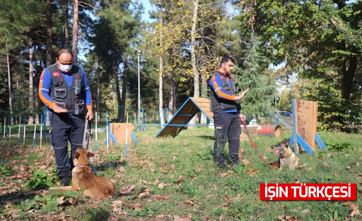 Afetlerde görev alacak altın burunlu köpekler Sakarya’da seçilecek