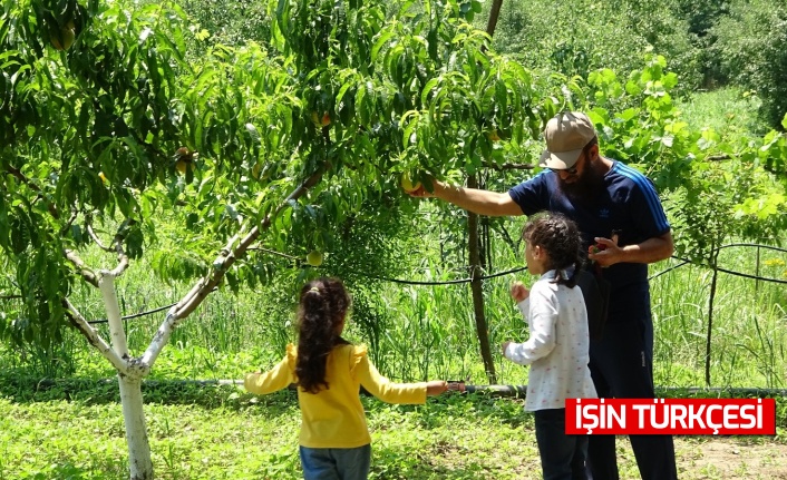 Turistler bu bahçeyi çok seviyor