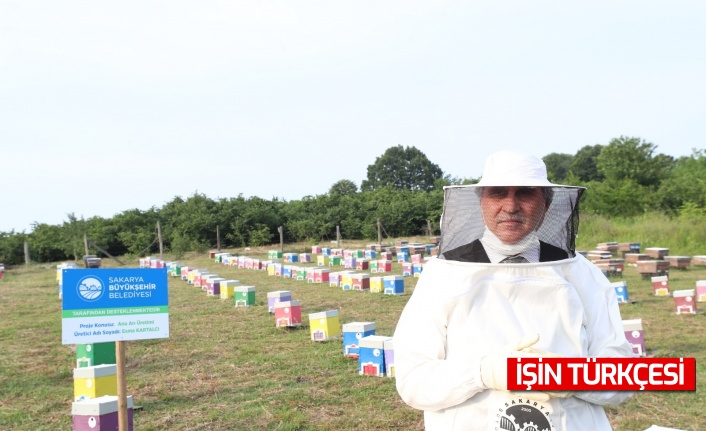 "Sakaryalı kovanlar Türk balını lider yapacak"