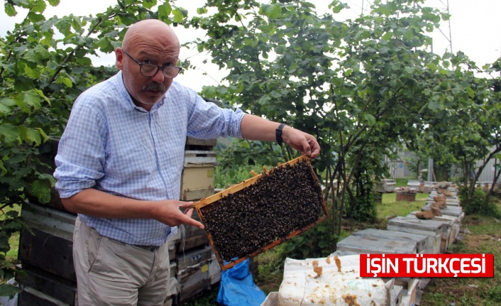 Türkiye bal rekoltesinde düşüş beklentisi