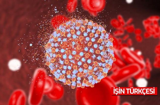 Her yıl 1 milyon kişi Hepatit B ve C’ye bağlı hayatını kaybediyor