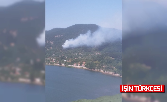 İzmir’de orman yangını