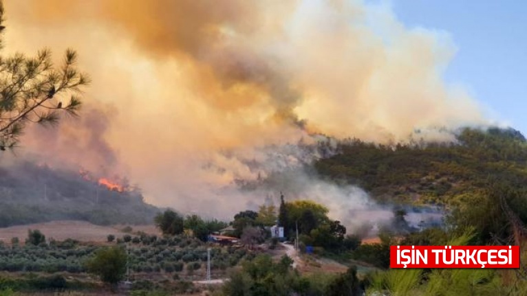 Sakarya’da ormana girmek yasaklandı