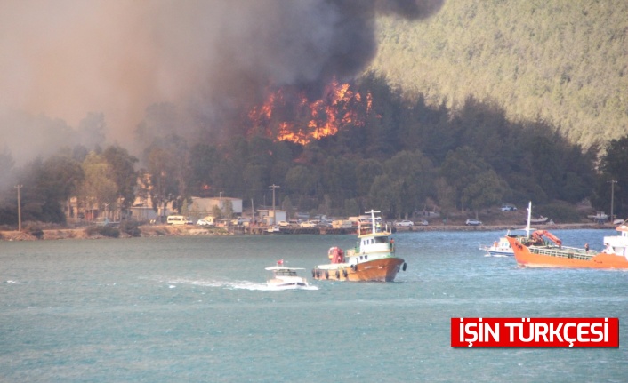 Yangınlarla ilgili Cumhuriyet başsavcılıkları soruşturma başlattı