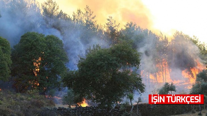 160 yangın kontrol altına alındı, 14’ünü söndürme çalışmaları sürüyor