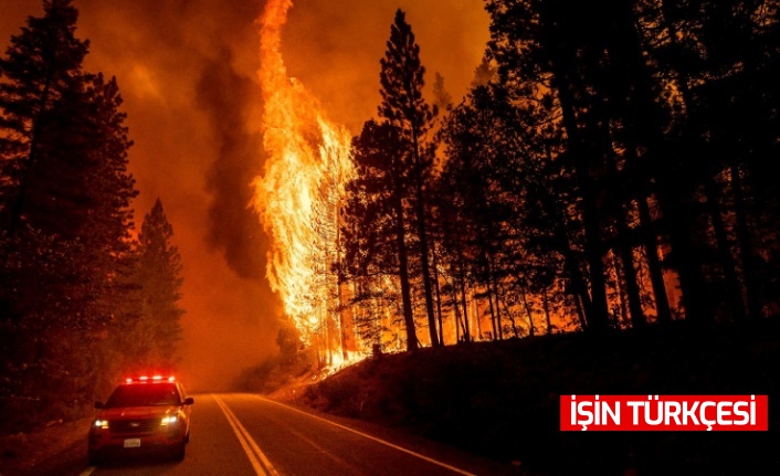 California'da 7 bölgede yangınlar devam ediyor!