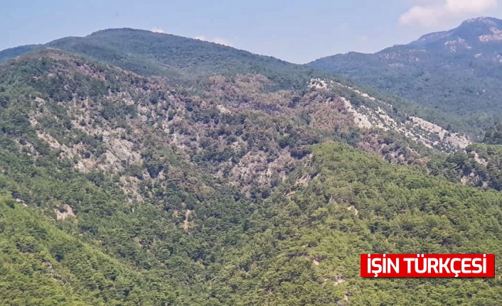 Kazdağları’nda soğutma çalışmaları devam ediyor