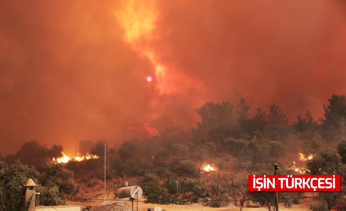 Muğla alevlerle boğuşuyor