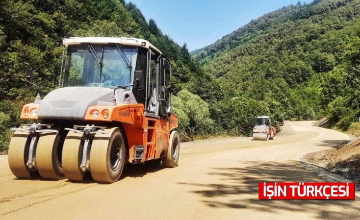 Sakarya-Kocaeli sınırındaki grup yolu baştan sona yenileniyor