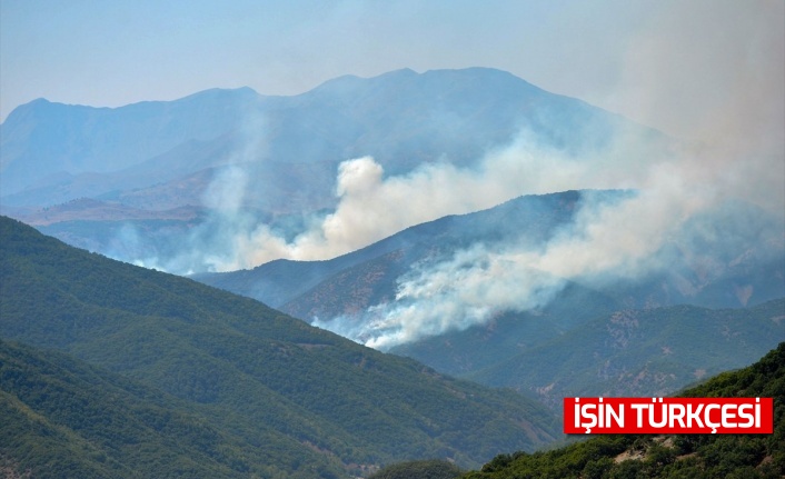 Türkiye genelinde yaşanan 6 orman yangını kontrol altına alındı