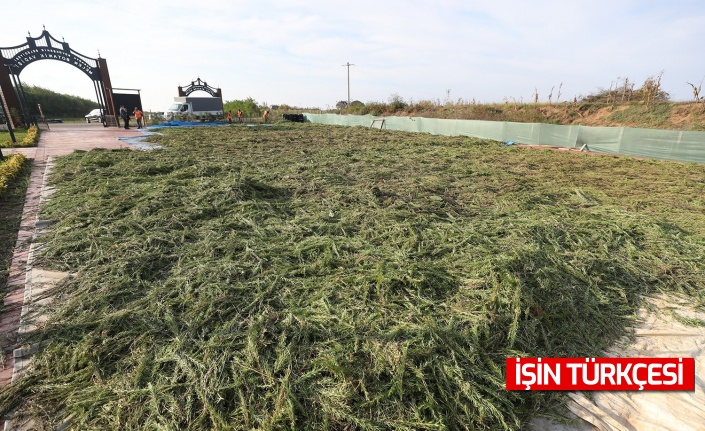 İlaç ve kozmetik sanayinde kullanılması hedeflenen bitkiler Sakarya'dan dünyaya açılıyor