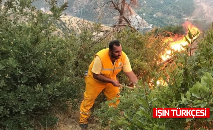 OGM: 9 ildeki tüm yangınlar söndürüldü