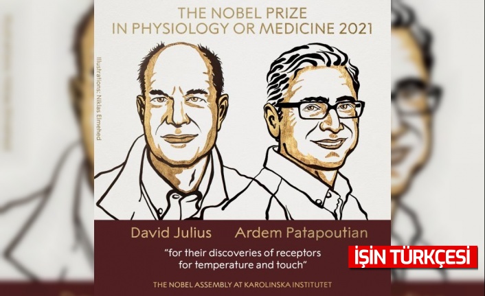 2021 Nobel Tıp Ödülü'nün sahipleri David Julius ve Ardem Patapoutian oldu