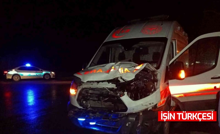 Ambulans ineğe çarptı