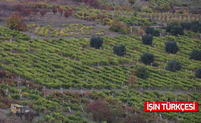 Geyve'de mahallenin yarısını dolandırdı