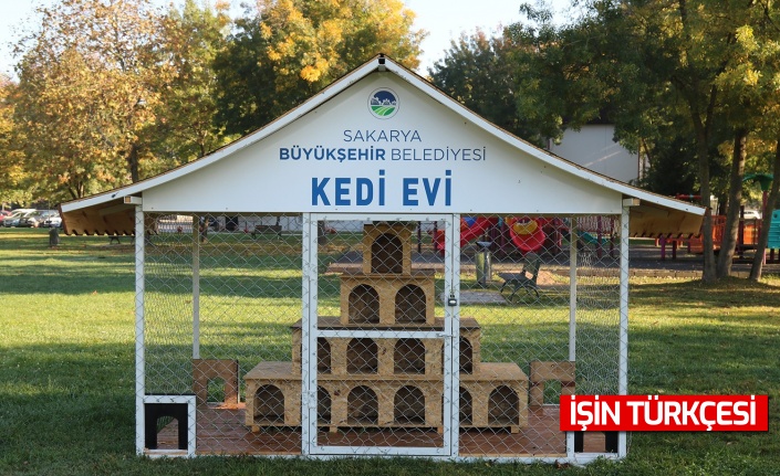 Kediler Sakarya Büyükşehir Belediyesi'nin projesiyle daha güvende