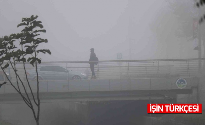 Sakarya güne sisle uyandı