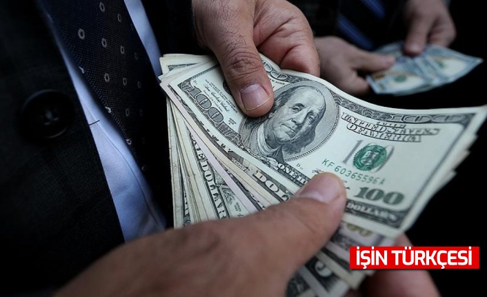 Dolar 11 lirayı aştı