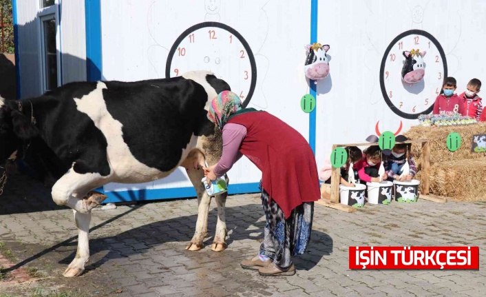 Öğrencilerine ‘İ’ harfini öğretmek için okula inek getirdi