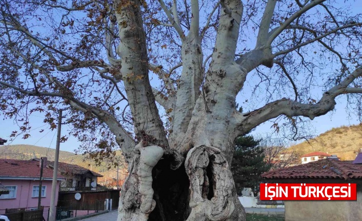 Sakarya’nın Taraklı ilçesinde Osmanlı’dan günümüze 700 yıllık tarih