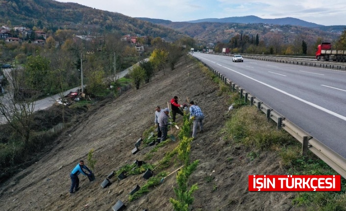 Sapanca'da ses perdesi projesinde çalışmalara başlandı