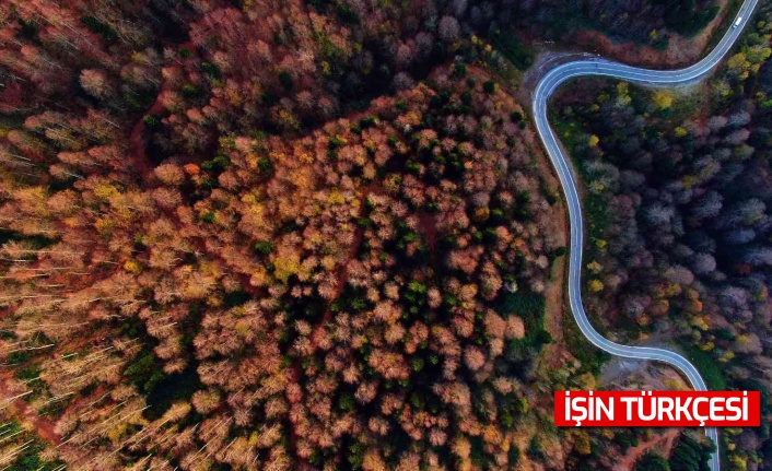 Sakarya'nın güzelliği ve sonbaharın doğaya yansıyan tonları büyüledi!