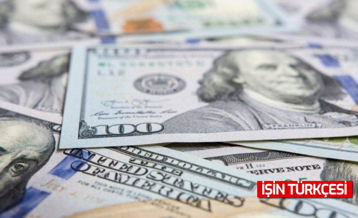 TÜİK: Ekim ayında en çok dolar kazandırdı