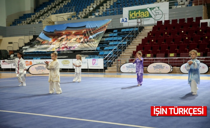 Wushu Tai Chi Türkiye Şampiyonası Sakarya'da başladı