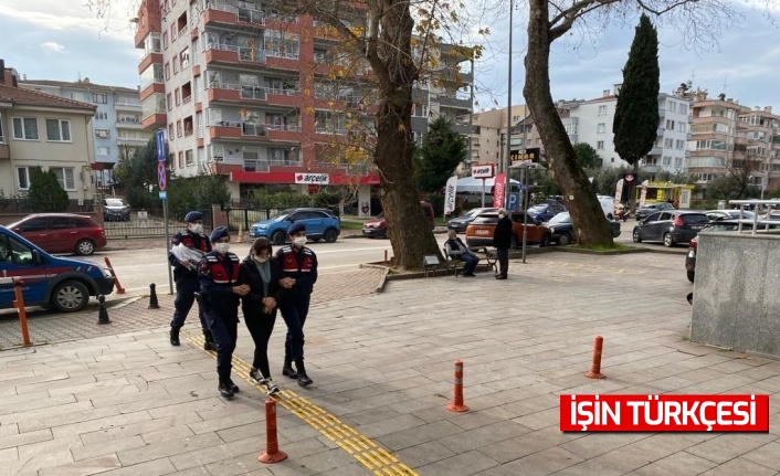 Bakıcılık yaptığı villadan bir milyonluk döviz çaldı