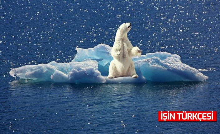 Kuzey Kutbu’ndaki sıcaklık 18 derece daha artarak rekor kırdı