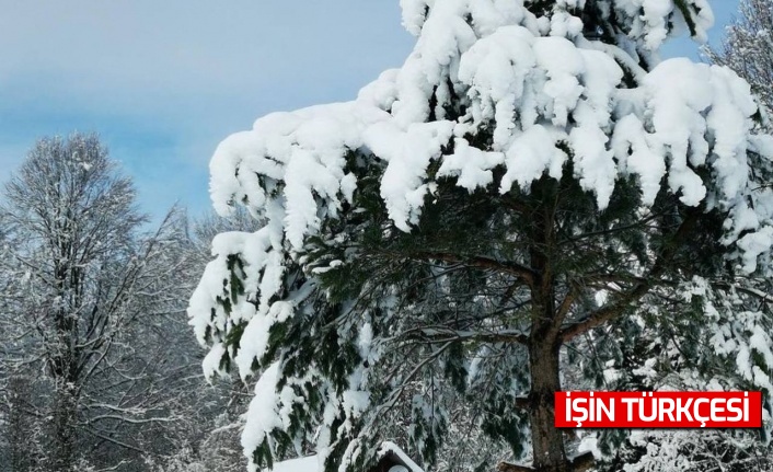 Sakarya’da kartpostallık kar manzaraları