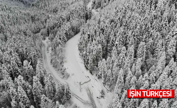 Yedigöller Milli Parkı yolu ulaşıma kapatıldı