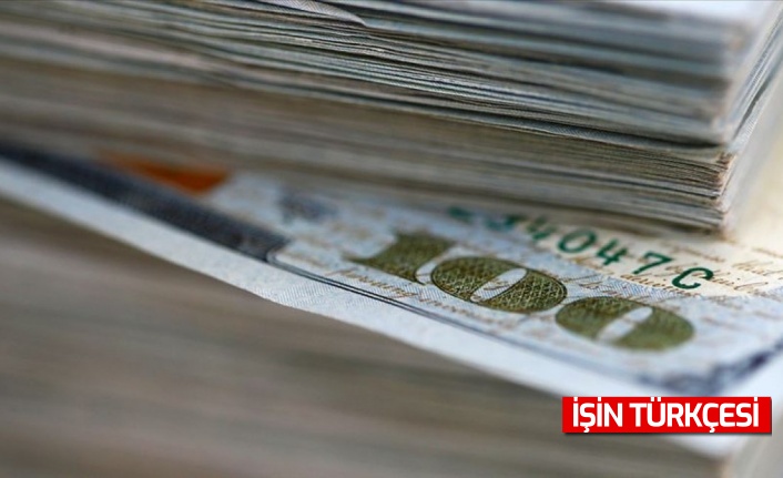 Dolar 13,5670 lira ile haftaya başladı