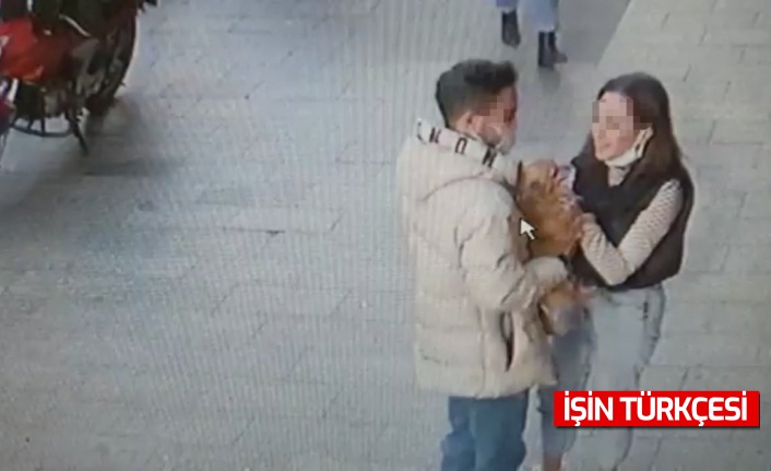 Kağıthane'de sever gibi yapıp 3 bin dolarlık "Badem" köpeği çaldılar