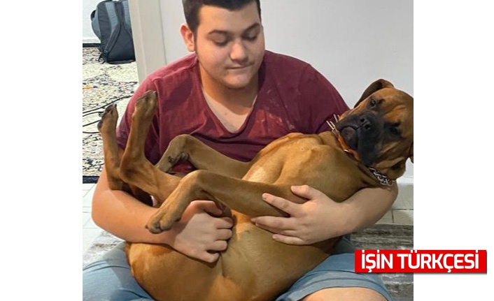 Otizmli gencin köpeğini pitbull zannederek silahla vurdu