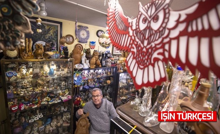 Koleksiyoner Ahmet Çomak, onlarca baykuş figürünü 45 yılda topladı