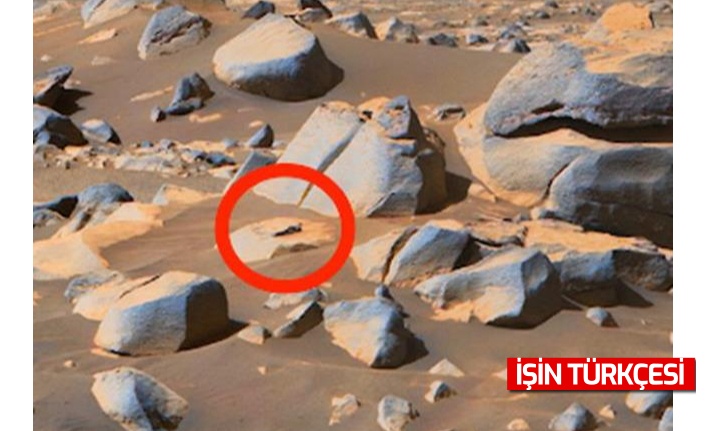 Mars'ta yaşam izi var diyen uzman isim paylaştığı fotoğrafla şaşırttı