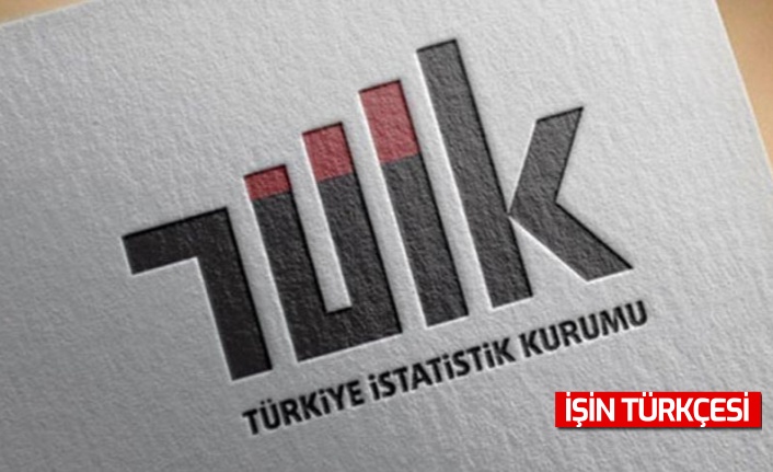 TÜİK Tüketici Fiyat Endeksi(TÜFE) oranlarını açıkladı