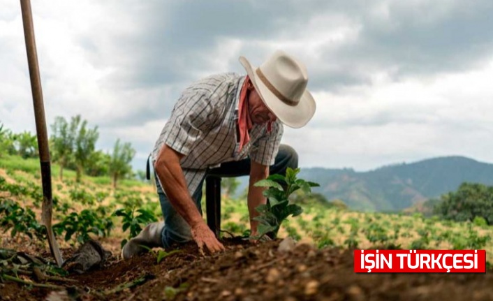 Çiftçilere müjde: Alım garantili üretim sistemi