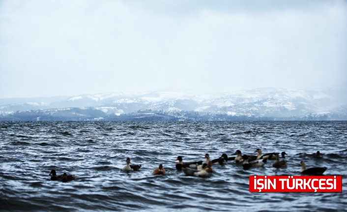 Sapanca Gölü seviyesi 7 yılın zirvesine ulaştı