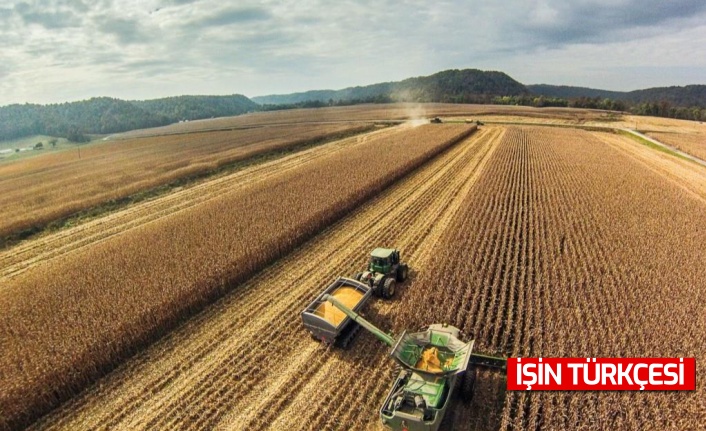 Tarım-ÜFE yıllık yüzde 84,11 arttı