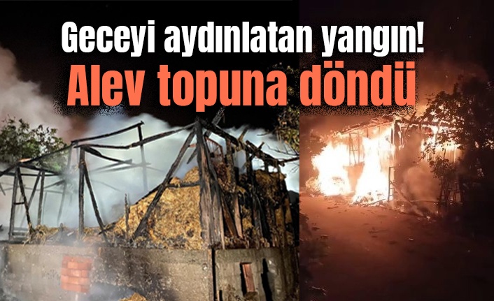 Geceyi aydınlatan yangın! Alev topuna döndü