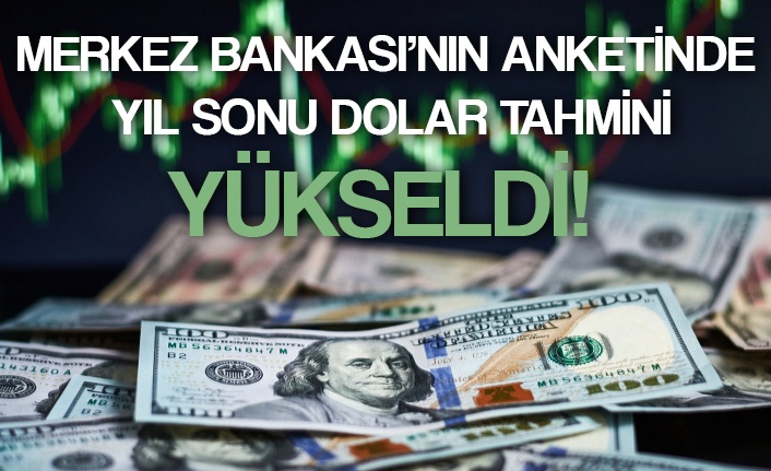 Merkez Bankası'nın anketinde yıl sonu dolar tahmini yükseldi!