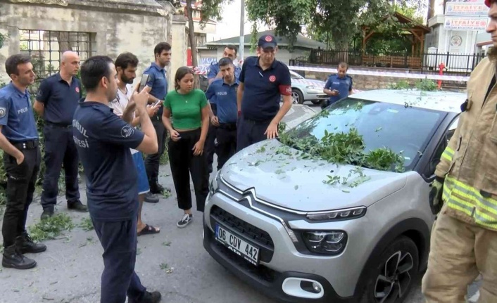 Üsküdar’da asırlık ağaç otomobilin üzerine devrildi