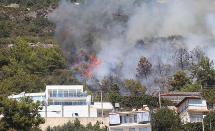 Alanya’da orman yangını